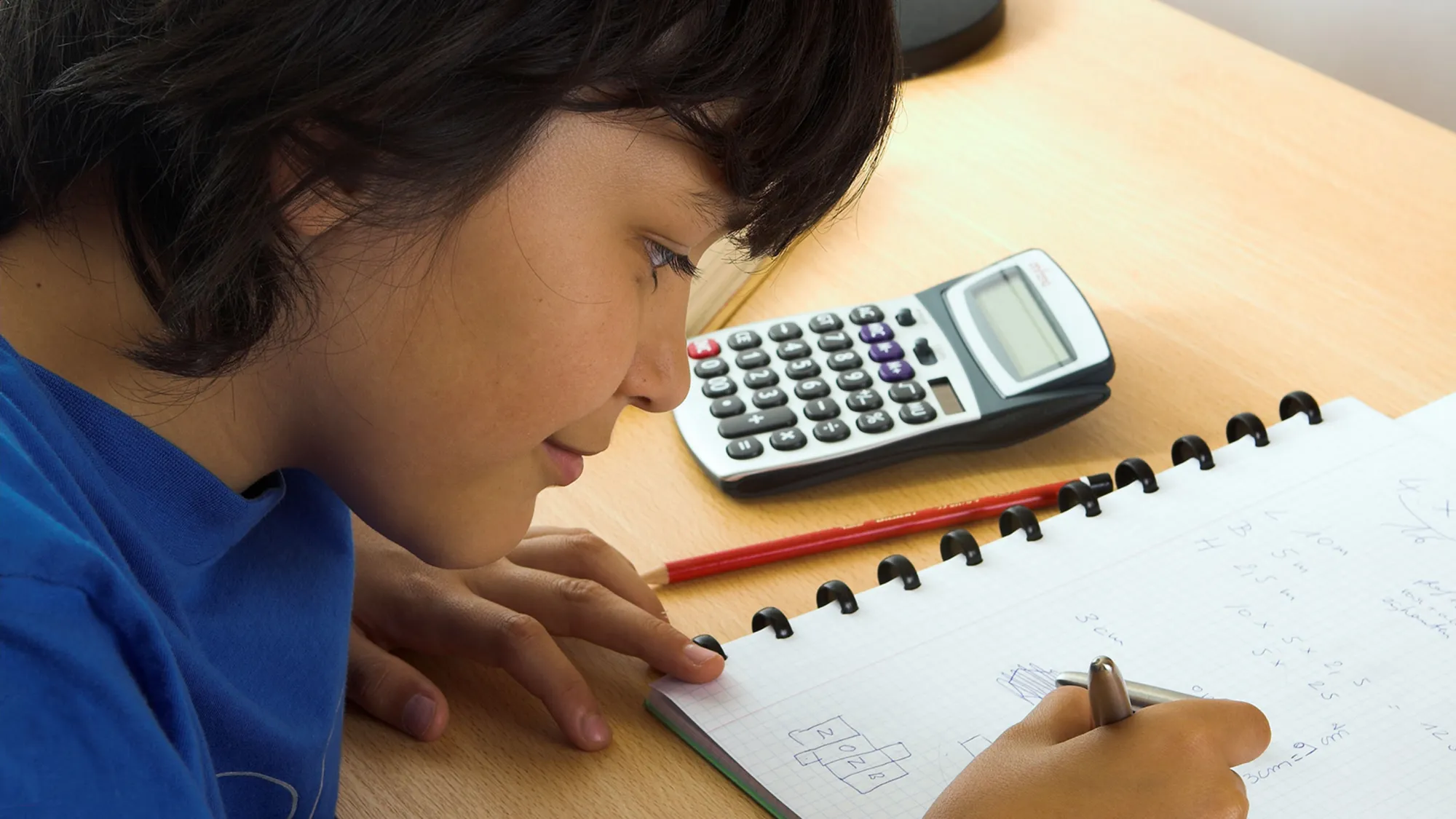 mathematics homework in UK